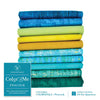 Windham Color Me Peacock 10 FQ - fat quarter bundle