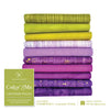 Windham Color Me Lavender Fields 10 FQ - fat quarter bundle