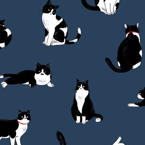 Cosmo Cat and Fox blue background