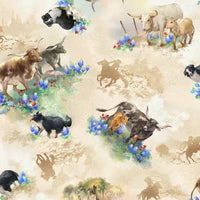 Oasis Round Up Longhorns