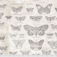 Free Spirit Tim Holtz Butterflies - Parchment